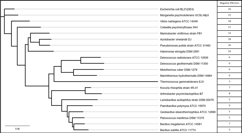 Home - Deinococcus geothermalis DSM 11300